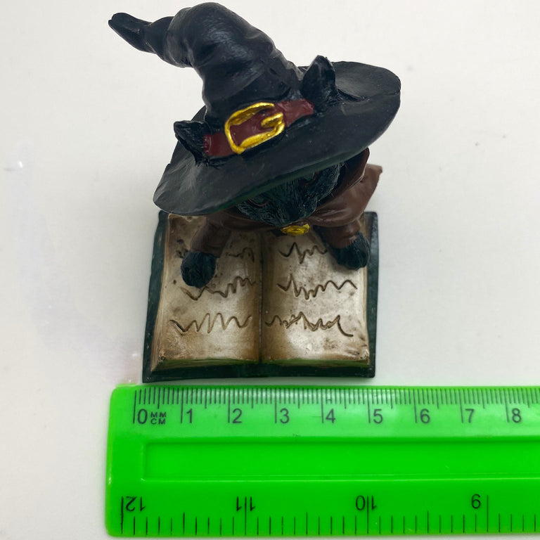 Innenmodell "Schwarze Katze mit grünen Buch" - 50 x 70 mm
