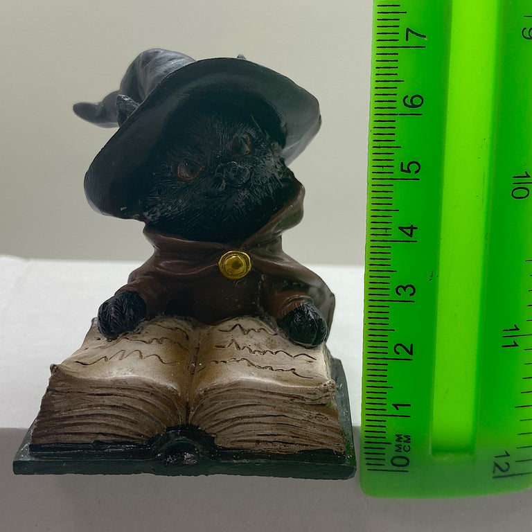 Innenmodell "Schwarze Katze mit grünen Buch" - 50 x 70 mm